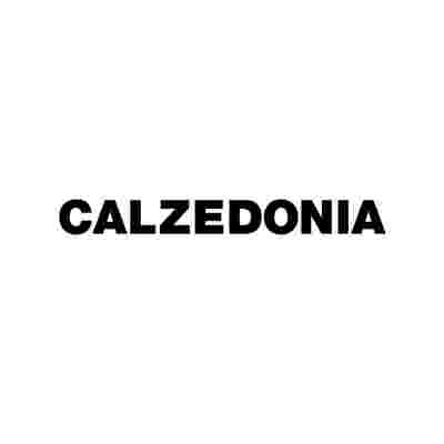 [Translate to English:] CALZEDONIA im ALGO